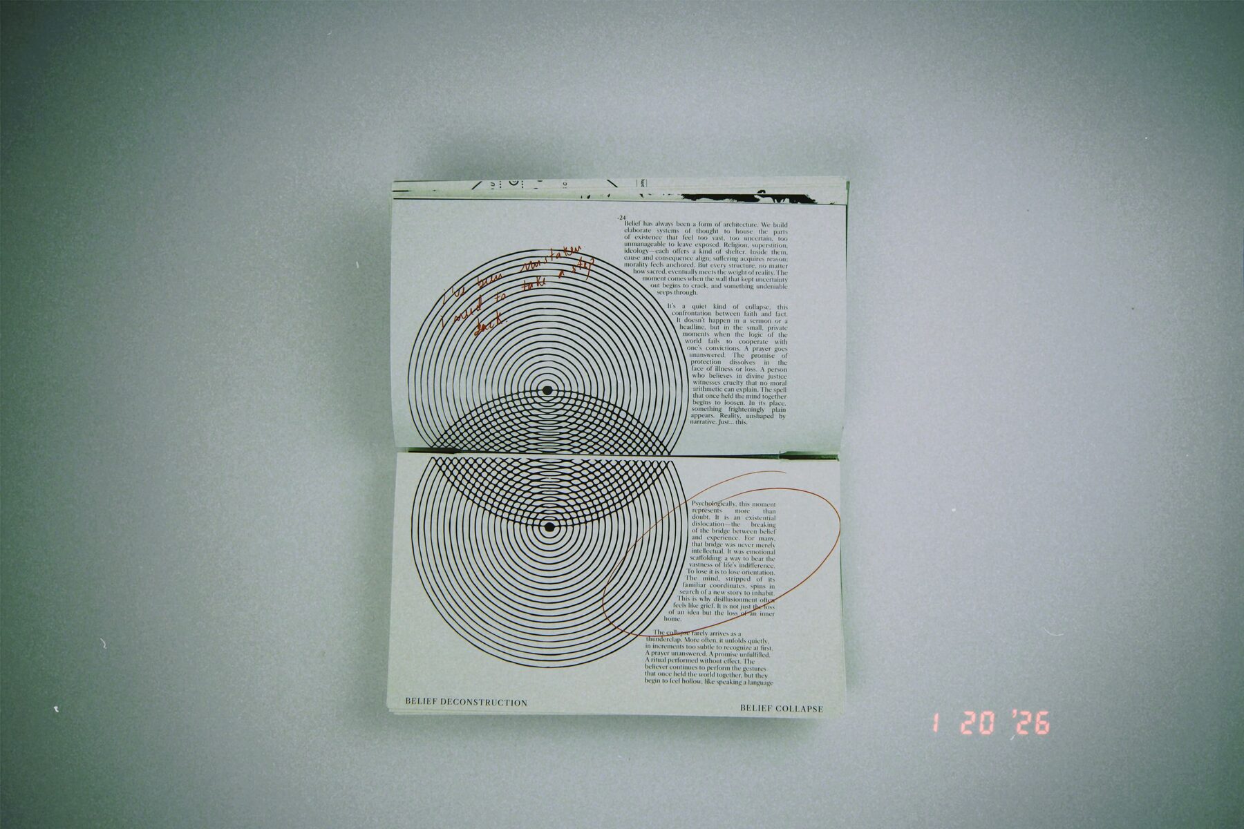 Paranoiac Patterns of Meaning Making, interior spreads