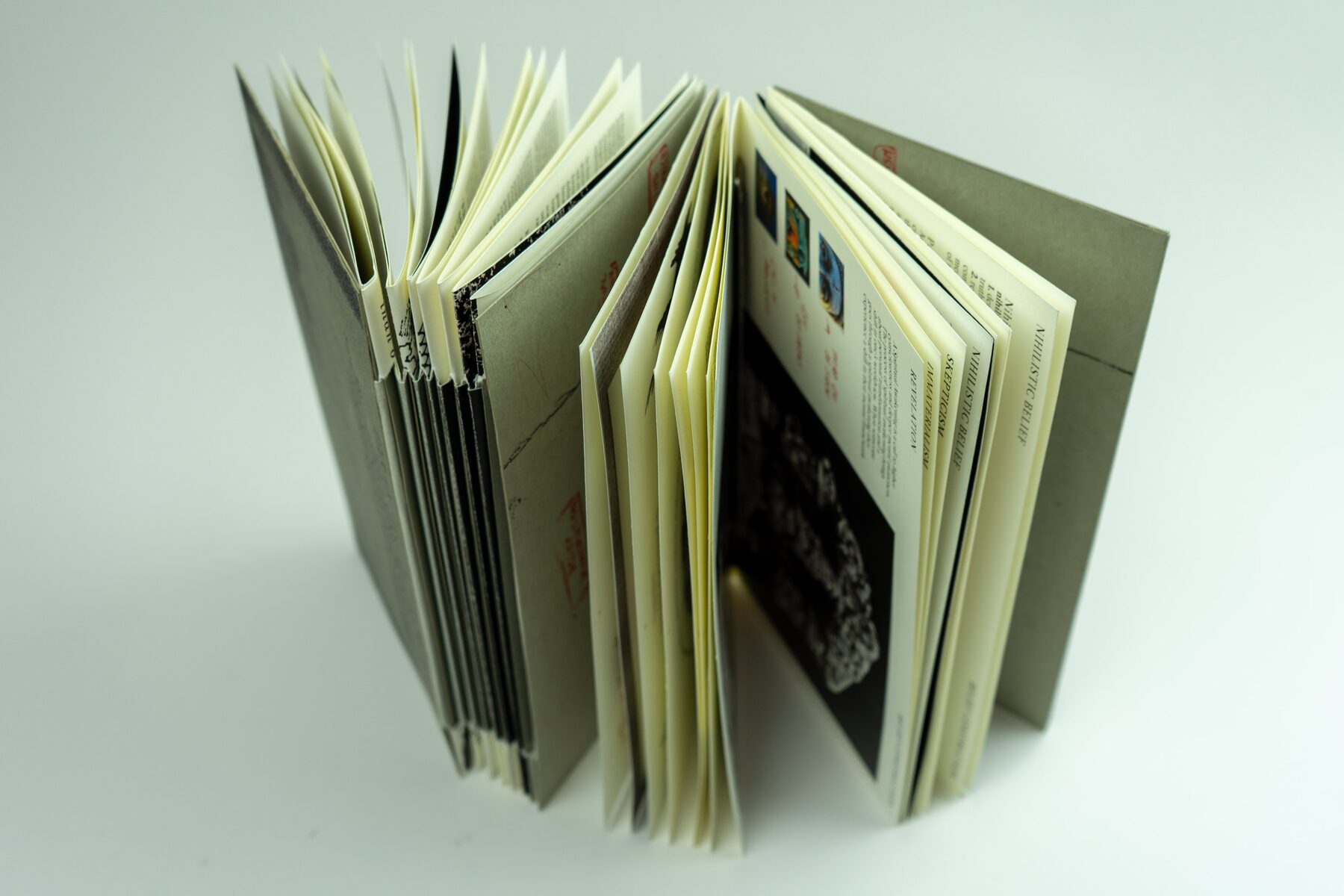 Paranoiac Patterns of Meaning Making, publication format